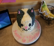 2021 10 30 KiraBDay 001